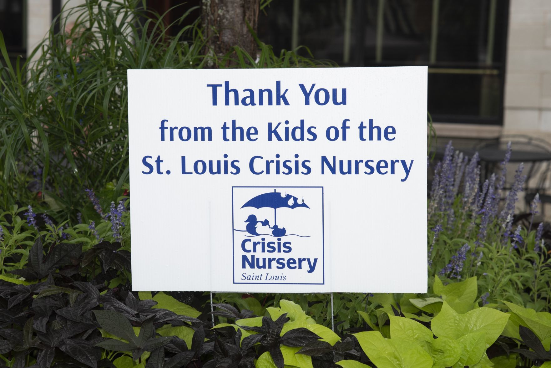 Crisis Nursery Celebrity WaiterÕs Night